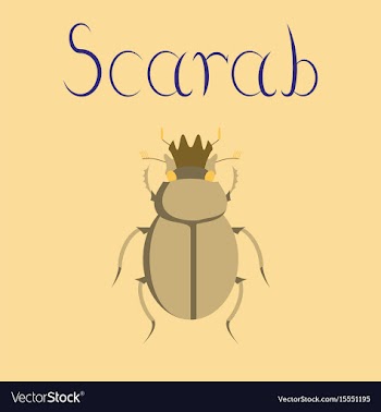 Flat on background bug scarab vector image