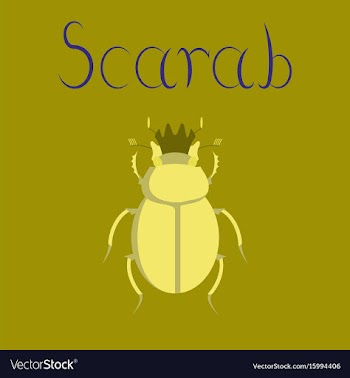 Flat on background bug scarab vector image