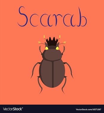 Flat on background bug scarab vector image