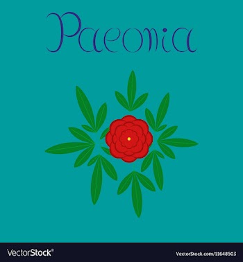 Flat on background flower paeonia vector image