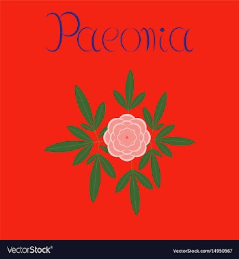 Flat on background flower paeonia vector image
