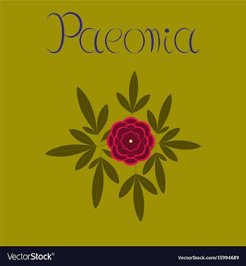 Flat on background flower paeonia vector image