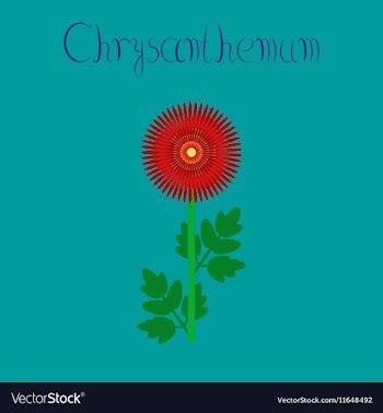 Flat on background flower vector image
