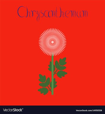 Flat on background flower vector image