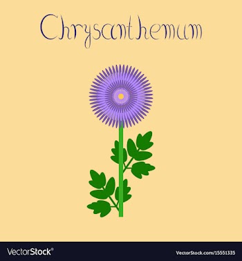 Flat on background flower vector image