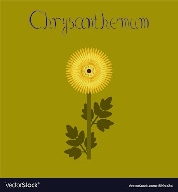 Flat on background flower vector image