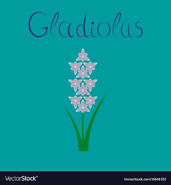 Flat on background gladiolus vector image