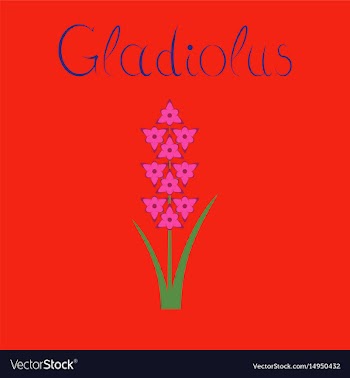 Flat on background gladiolus vector image