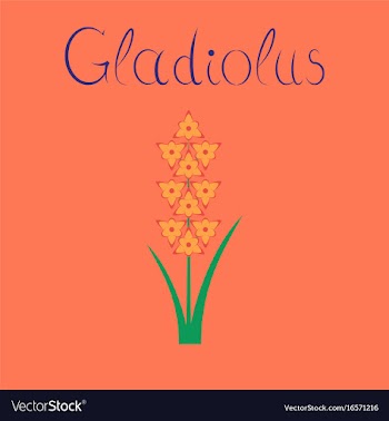 Flat on background gladiolus vector image