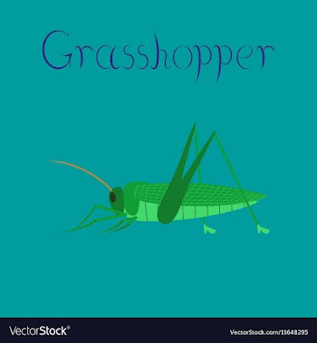 Flat on background grasshopper vector image