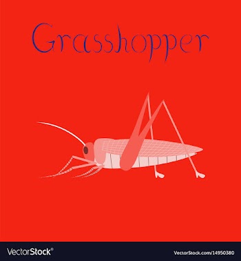 Flat on background grasshopper vector image
