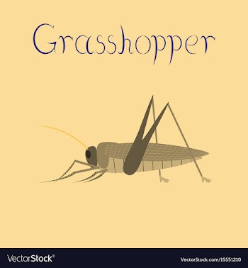 Flat on background grasshopper vector image