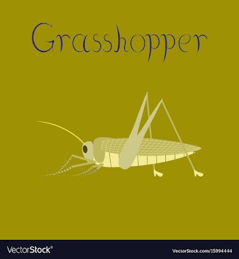 Flat on background grasshopper vector image