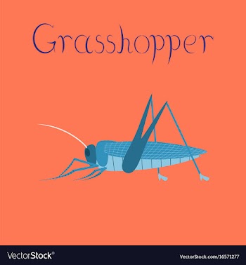 Flat on background grasshopper vector image