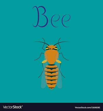 Flat on background insect bee vector image