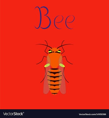 Flat on background insect bee vector image