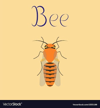 Flat on background insect bee vector image