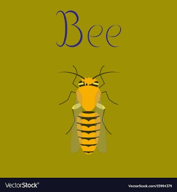 Flat on background insect bee vector image