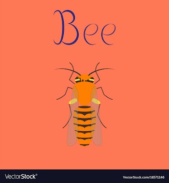 Flat on background insect bee vector image