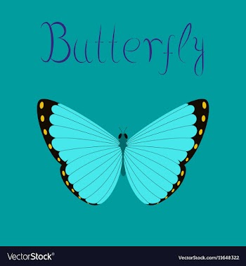 Flat on background insect butterfly vector image