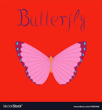 Flat on background insect butterfly vector image