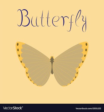 Flat on background insect butterfly vector image