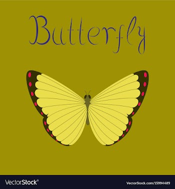 Flat on background insect butterfly vector image