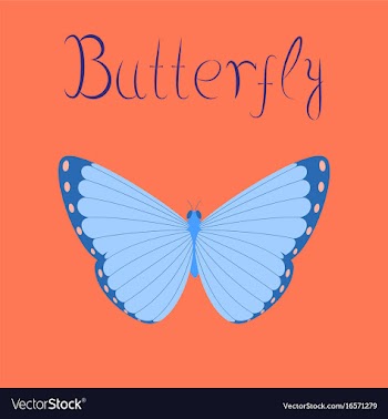 Flat on background insect butterfly vector image