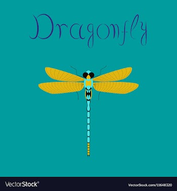 Flat on background insect dragonfly vector image