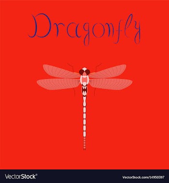 Flat on background insect dragonfly vector image
