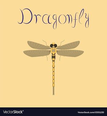Flat on background insect dragonfly vector image