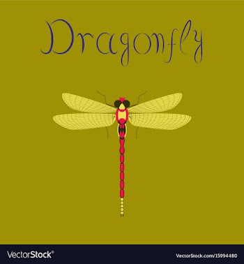 Flat on background insect dragonfly vector image