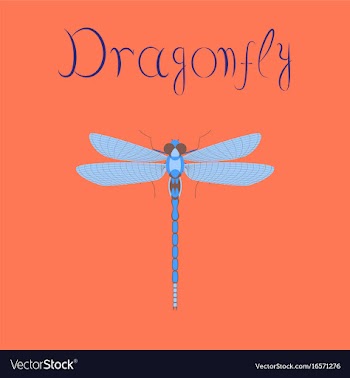 Flat on background insect dragonfly vector image