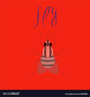 Flat on background insect fly vector image