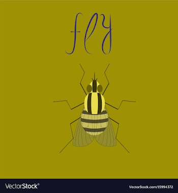 Flat on background insect fly vector image