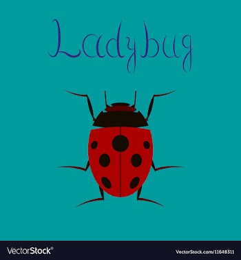 Flat on background insect ladybug vector image