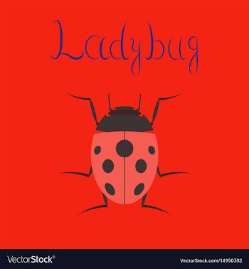 Flat on background insect ladybug vector image