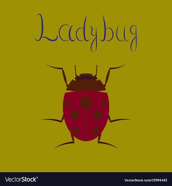 Flat on background insect ladybug vector image