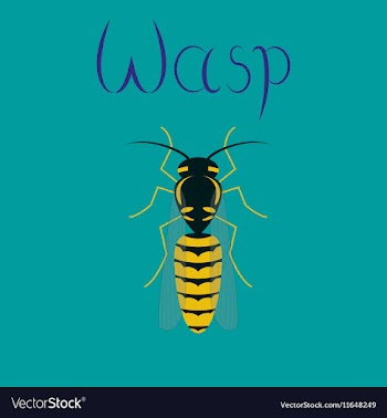 Flat on background insect wasp vector image