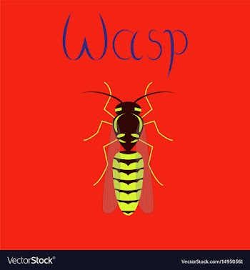 Flat on background insect wasp vector image