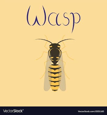 Flat on background insect wasp vector image