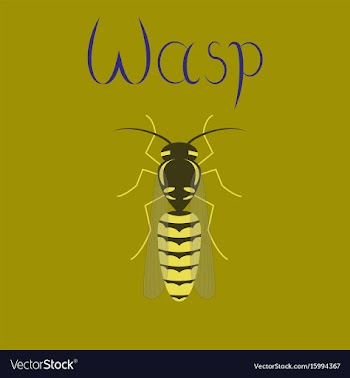 Flat on background insect wasp vector image
