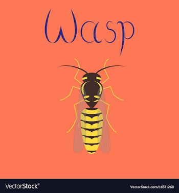 Flat on background insect wasp vector image