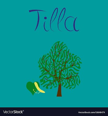 Flat on background linden wood vector image