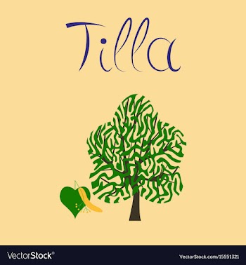Flat on background linden wood vector image