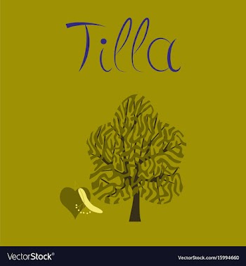 Flat on background linden wood vector image
