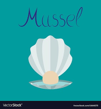 Flat on background mussel vector image