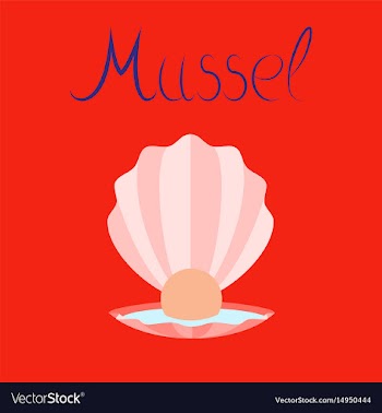 Flat on background mussel vector image