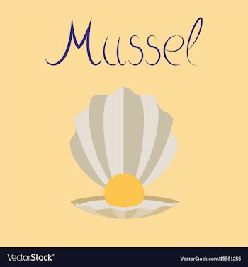 Flat on background mussel vector image