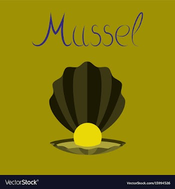Flat on background mussel vector image